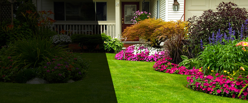 Sedalia Landscapers